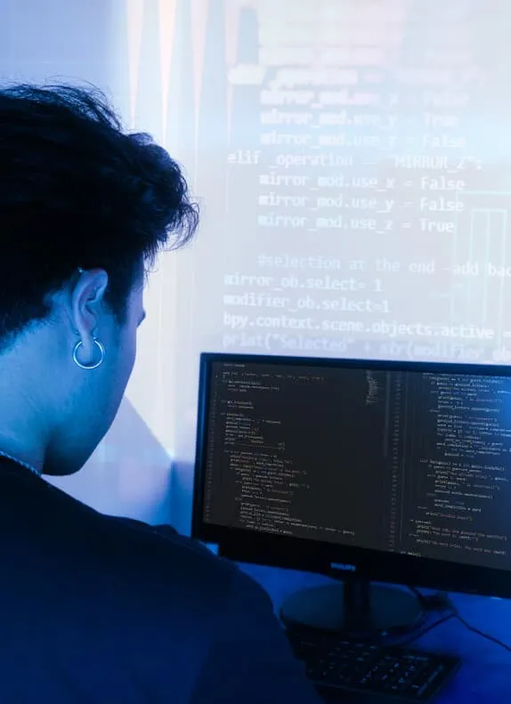 Software Engineering program