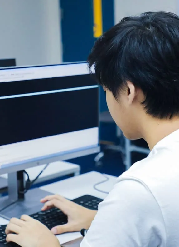 Web Development program